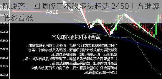 陈峻齐：回调修正不改多头趋势 2450上方继续低多看涨