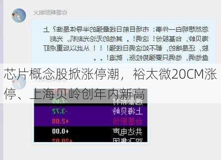 芯片概念股掀涨停潮，裕太微20CM涨停、上海贝岭创年内新高-第2张图片-