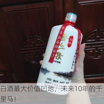 白酒最大价值凹地，未来10年的千里马！-第1张图片-