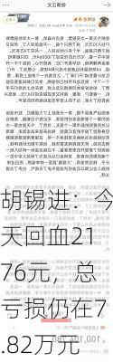 胡锡进：今天回血2176元，总亏损仍在7.82万元-第1张图片-