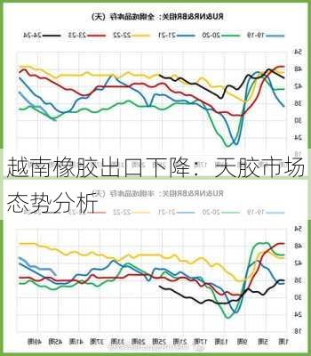 越南橡胶出口下降：天胶市场态势分析