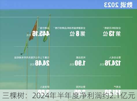 三棵树：2024年半年度净利润约2.1亿元