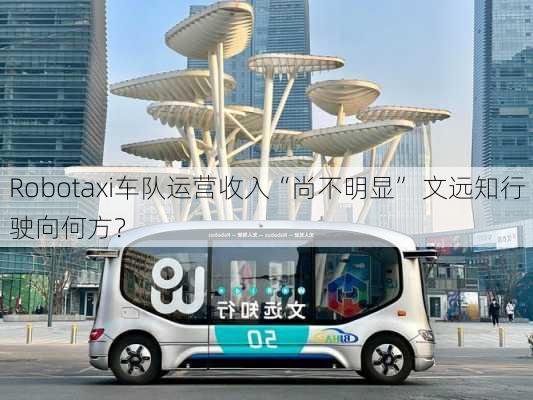 Robotaxi车队运营收入“尚不明显” 文远知行驶向何方？-第3张图片-