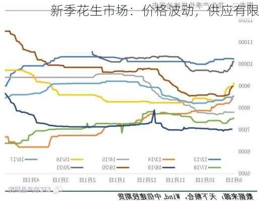 新季花生市场：价格波动，供应有限-第1张图片-