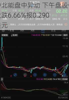 中北能盘中异动 下午盘股价大跌6.66%报0.290美元-第1张图片-