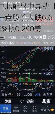 中北能盘中异动 下午盘股价大跌6.66%报0.290美元-第2张图片-