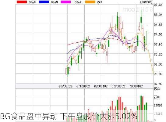 BG食品盘中异动 下午盘股价大涨5.02%-第2张图片-