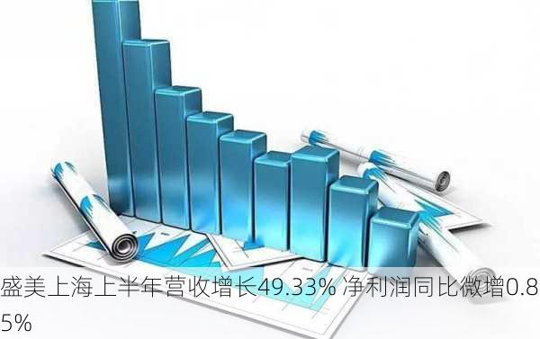 盛美上海上半年营收增长49.33% 净利润同比微增0.85%-第1张图片-