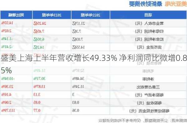 盛美上海上半年营收增长49.33% 净利润同比微增0.85%-第3张图片-