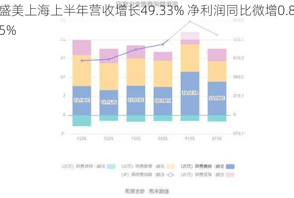 盛美上海上半年营收增长49.33% 净利润同比微增0.85%-第2张图片-