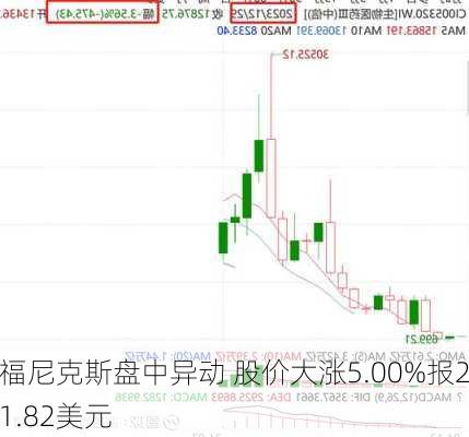 福尼克斯盘中异动 股价大涨5.00%报21.82美元-第2张图片-