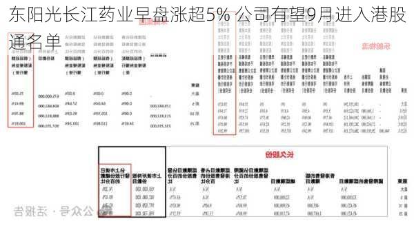 东阳光长江药业早盘涨超5% 公司有望9月进入港股通名单-第2张图片-