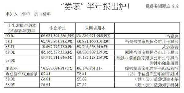 “券茅”半年报出炉！-第3张图片-