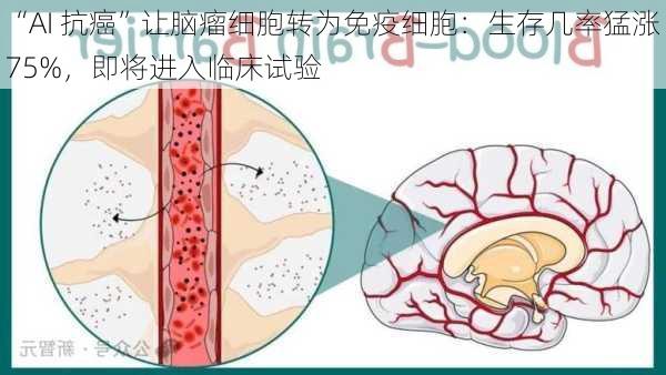 “AI 抗癌”让脑瘤细胞转为免疫细胞：生存几率猛涨 75%，即将进入临床试验-第2张图片-