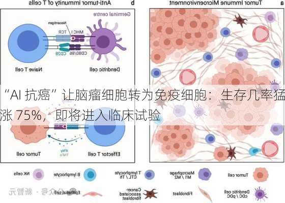 “AI 抗癌”让脑瘤细胞转为免疫细胞：生存几率猛涨 75%，即将进入临床试验-第1张图片-