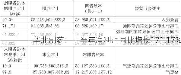 华北制药：上半年净利润同比增长171.17%-第1张图片-