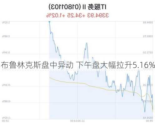 布鲁林克斯盘中异动 下午盘大幅拉升5.16%-第2张图片-