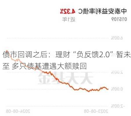 债市回调之后：理财“负反馈2.0”暂未至 多只债基遭遇大额赎回-第1张图片-