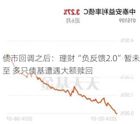 债市回调之后：理财“负反馈2.0”暂未至 多只债基遭遇大额赎回-第2张图片-