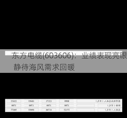 东方电缆(603606)：业绩表现亮眼 静待海风需求回暖