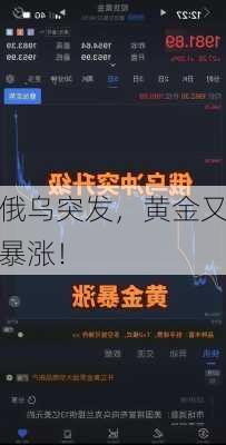 俄乌突发，黄金又暴涨！-第3张图片-