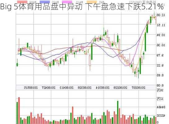 Big 5体育用品盘中异动 下午盘急速下跌5.21%-第1张图片-