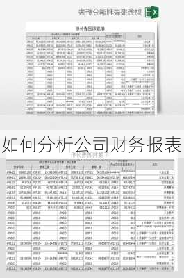 如何分析公司财务报表-第1张图片-