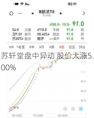 苏轩堂盘中异动 股价大涨5.00%-第2张图片-