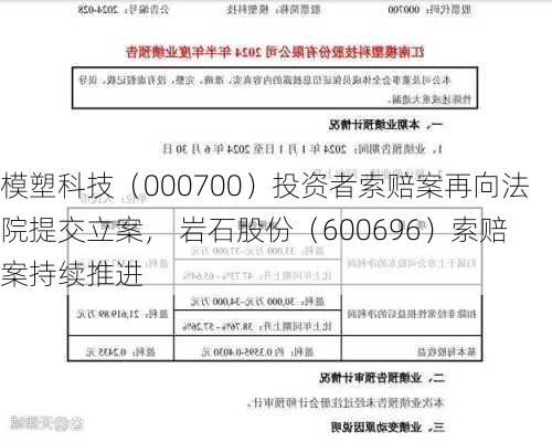 模塑科技（000700）投资者索赔案再向法院提交立案， 岩石股份（600696）索赔案持续推进-第1张图片-