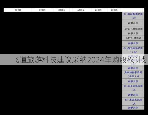 飞道旅游科技建议采纳2024年购股权计划