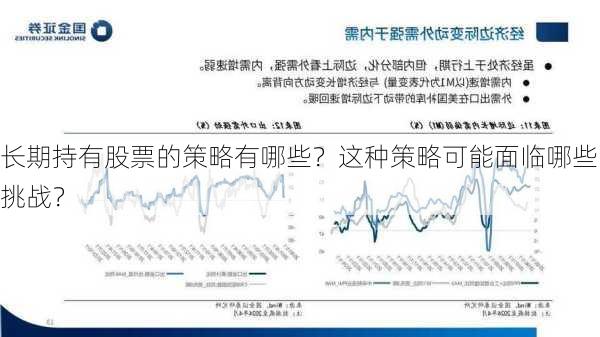 长期持有股票的策略有哪些？这种策略可能面临哪些挑战？-第2张图片-