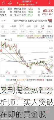 又到淘金热？分析师：买入突破在即的黄金股-第3张图片-