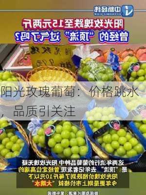 阳光玫瑰葡萄：价格跳水，品质引关注-第1张图片-