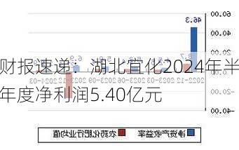 财报速递：湖北宜化2024年半年度净利润5.40亿元-第1张图片-