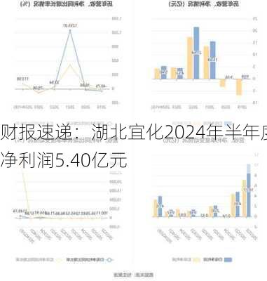 财报速递：湖北宜化2024年半年度净利润5.40亿元-第2张图片-