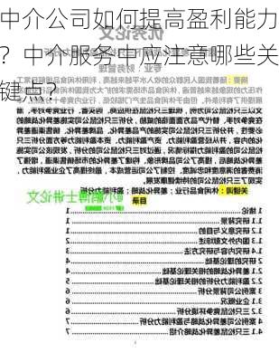 中介公司如何提高盈利能力？中介服务中应注意哪些关键点？-第1张图片-