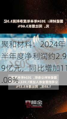 聚和材料：2024年半年度净利润约2.99亿元，同比增加11.08%-第1张图片-