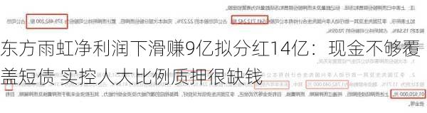 东方雨虹净利润下滑赚9亿拟分红14亿：现金不够覆盖短债 实控人大比例质押很缺钱-第1张图片-