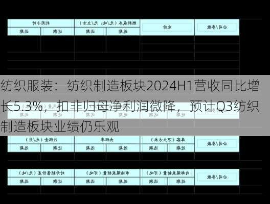 纺织服装：纺织制造板块2024H1营收同比增长5.3%，扣非归母净利润微降，预计Q3纺织制造板块业绩仍乐观-第1张图片-