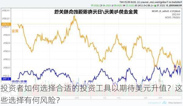 投资者如何选择合适的投资工具以期待美元升值？这些选择有何风险？-第1张图片-