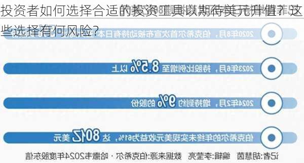 投资者如何选择合适的投资工具以期待美元升值？这些选择有何风险？-第2张图片-