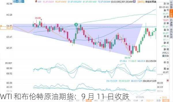 WTI 和布伦特原油期货：9 月 11 日收跌-第2张图片-