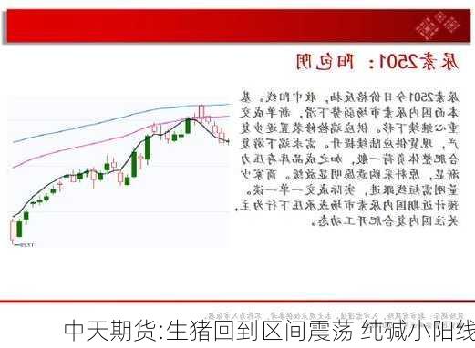 中天期货:生猪回到区间震荡 纯碱小阳线-第1张图片-