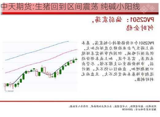 中天期货:生猪回到区间震荡 纯碱小阳线-第2张图片-