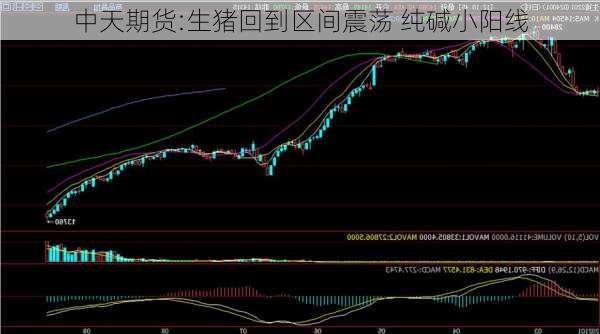 中天期货:生猪回到区间震荡 纯碱小阳线-第3张图片-