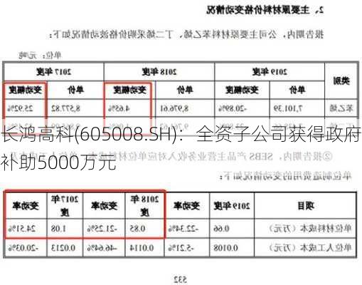 长鸿高科(605008.SH)：全资子公司获得政府补助5000万元-第2张图片-