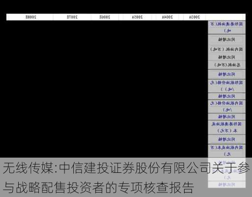 无线传媒:中信建投证券股份有限公司关于参与战略配售投资者的专项核查报告-第1张图片-