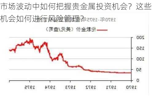 市场波动中如何把握贵金属投资机会？这些机会如何进行风险管理？-第3张图片-