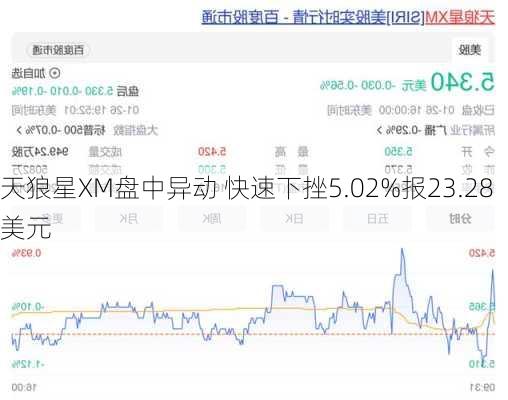 天狼星XM盘中异动 快速下挫5.02%报23.28美元-第2张图片-