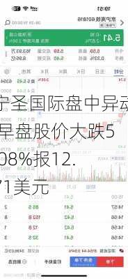 宁圣国际盘中异动 早盘股价大跌5.08%报12.71美元-第1张图片-